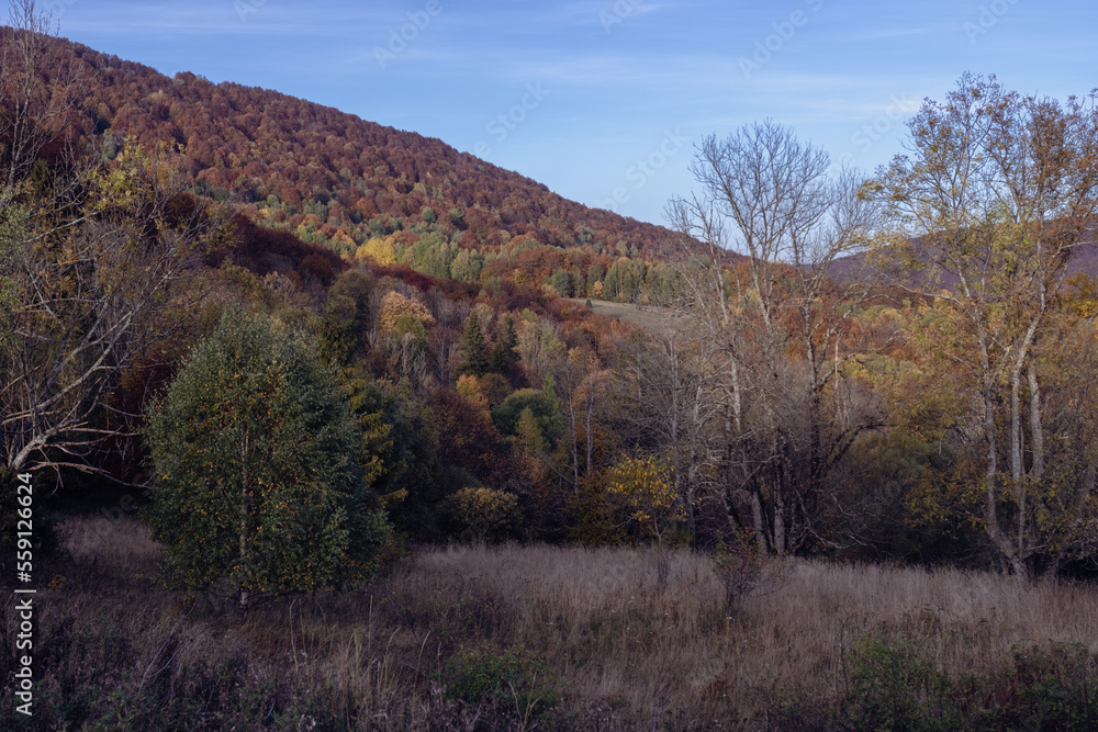 Grassy steppes in the mountains in autumn