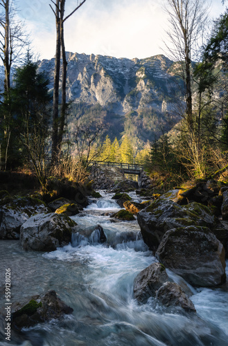 Der mystische Zauberwald mit einem Fluss am Hintersee nahe dem Bergsteigerdorf Ramsau