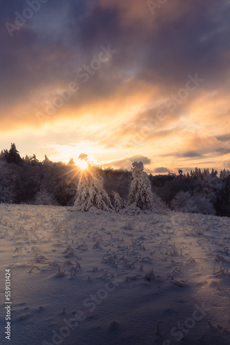 Nationalpark Röhn Winterstimmung am Kreuzberg im Abendlicht und schöne Winterlandschaft mit Sonnenstern und schneebedeckten Tannen