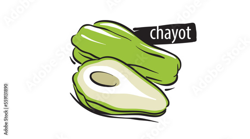 Drawn chayote isolated on a white background