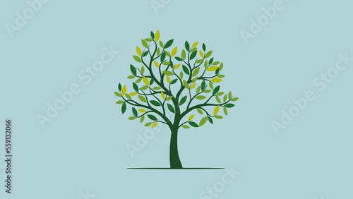 Jahreszeiten Apfelbaum