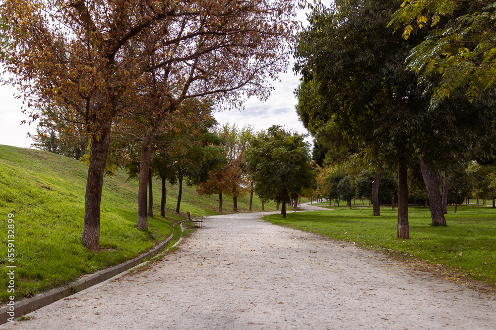 Autumn in the city park