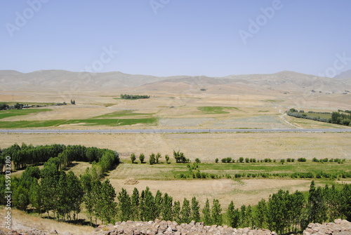 Greenery born on a desolate land.