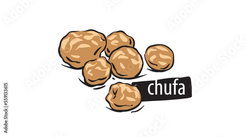 Drawn chufa isolated on a white background