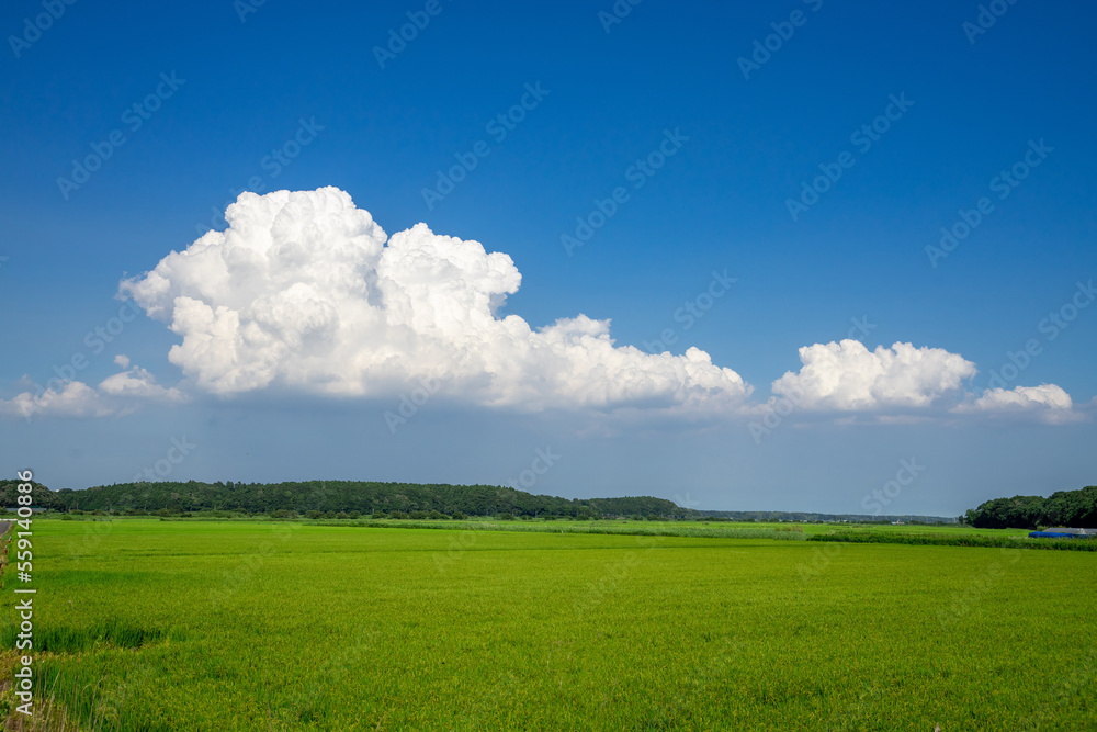 田園風景 田園風景