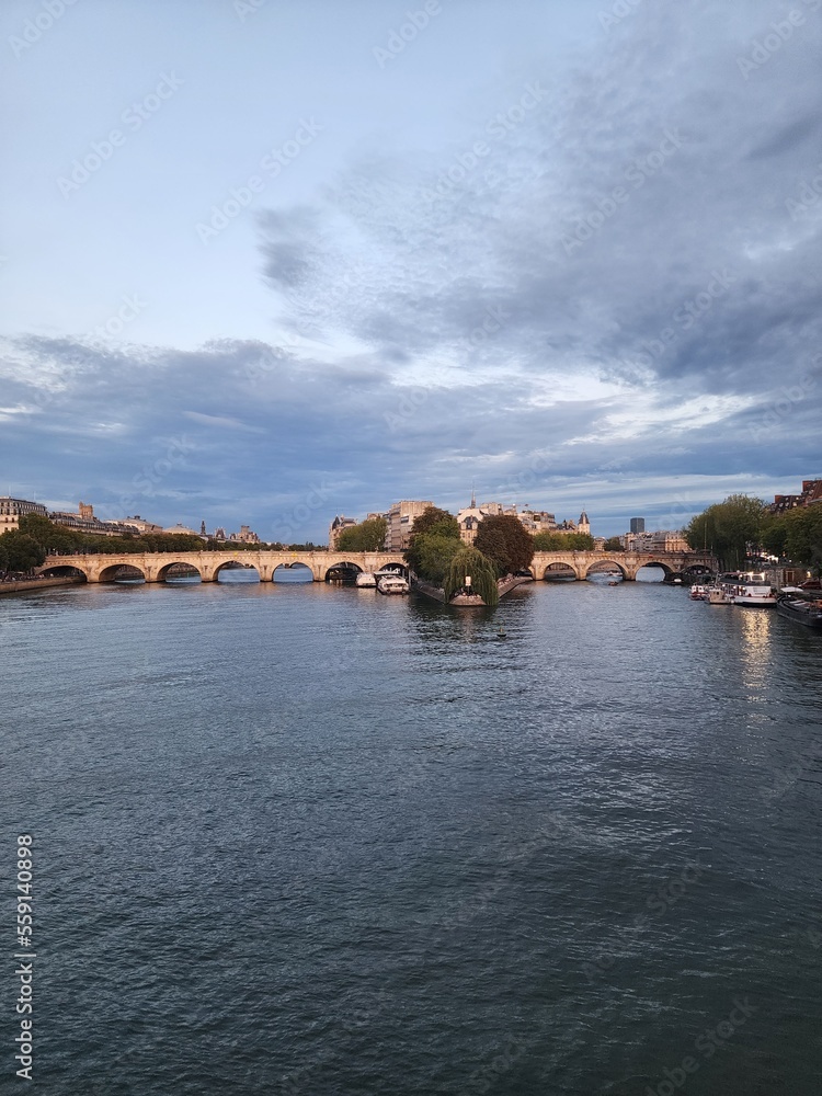 Naklejka premium Seine river view, Paris around sunset portrait
