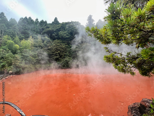 血の池地獄　大分観光　別府温泉地獄巡り