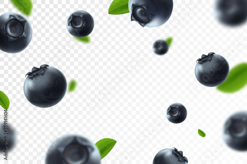 Blueberry background. Fresh berry with green leaves on transparent background. Flying focused and blurry berries. 3D realistic fruits. Falling blueberry. Nature product. Vector illustration.