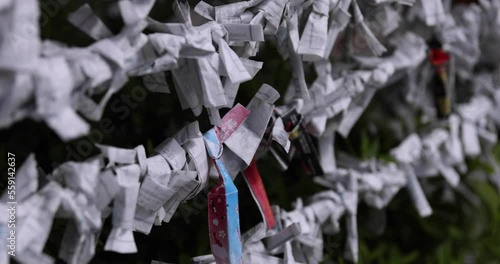 A fortune telling slip at Tomioka Shrine close up photo