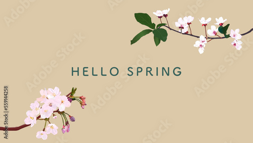 2種類の桜の花の背景バナーテンプレート、文字スペース、春、カード、横