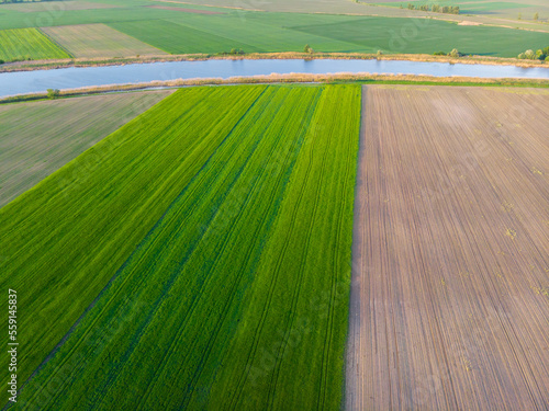 Aerial shot of agricultural fields, beautiful straight agricultural rows, cultivated area with the Tisza river in the background, drone shot at sunset
