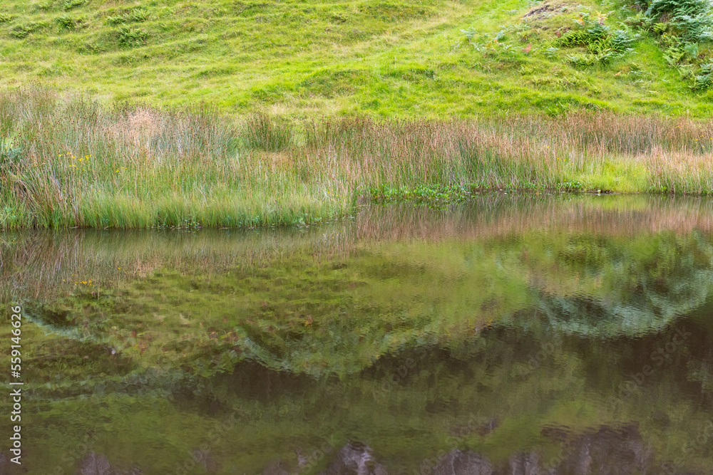 Fairy Glen