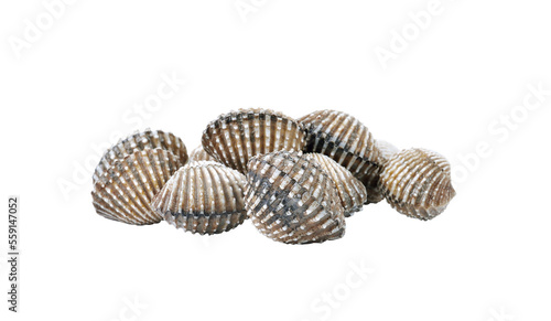 Photos fresh cockles seafood   on transparent png
