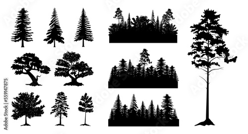 Forest wood black silhouettes, different trees. Pine or fir canopy, woodcut sketch, leaf and branch landscape scene. Spruce and coniferous natural woodland. Vector outline garish illustration