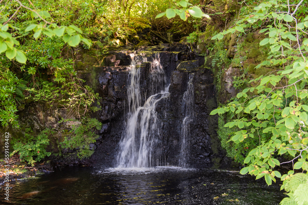 Dunvegan Castle & Gardens