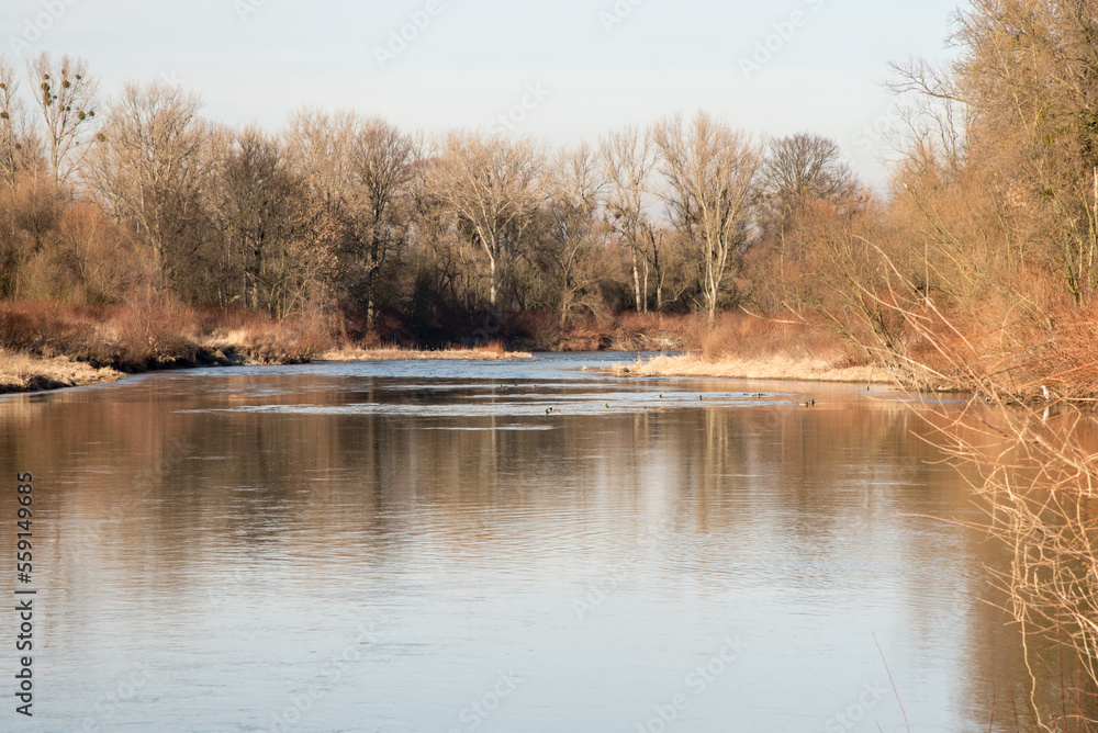 River with trees around and blue sky - Odra river near Bohumin city River with trees around and blue sky - Odra river near Bohumin city