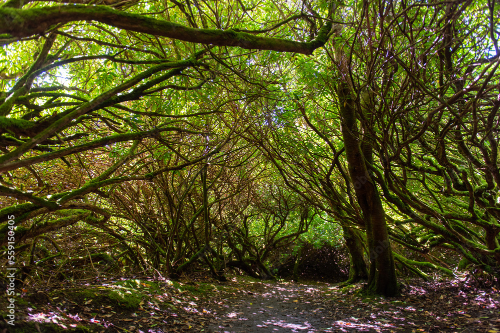 Dunvegan Castle & Gardens