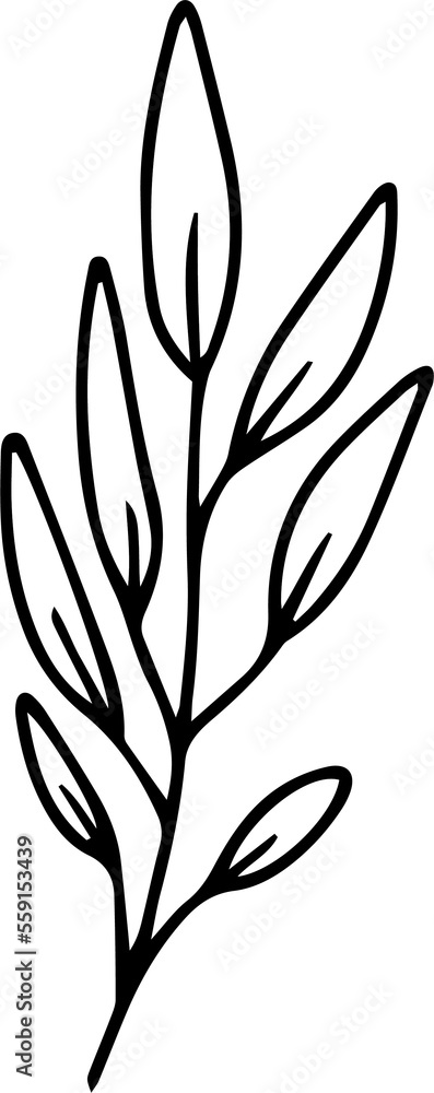 Naklejka premium Hand drawn line art floral decorative elements, leaves, flowers, herbs and branches botanical doodles