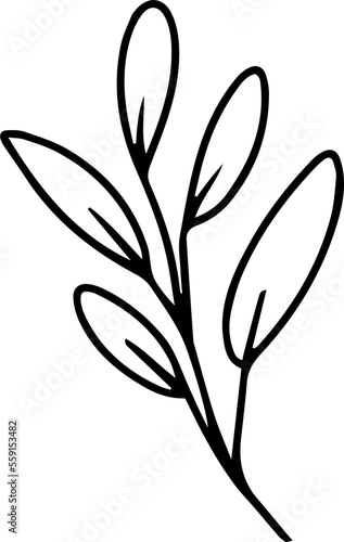 Hand drawn line art floral decorative elements  leaves  flowers  herbs and branches botanical doodles