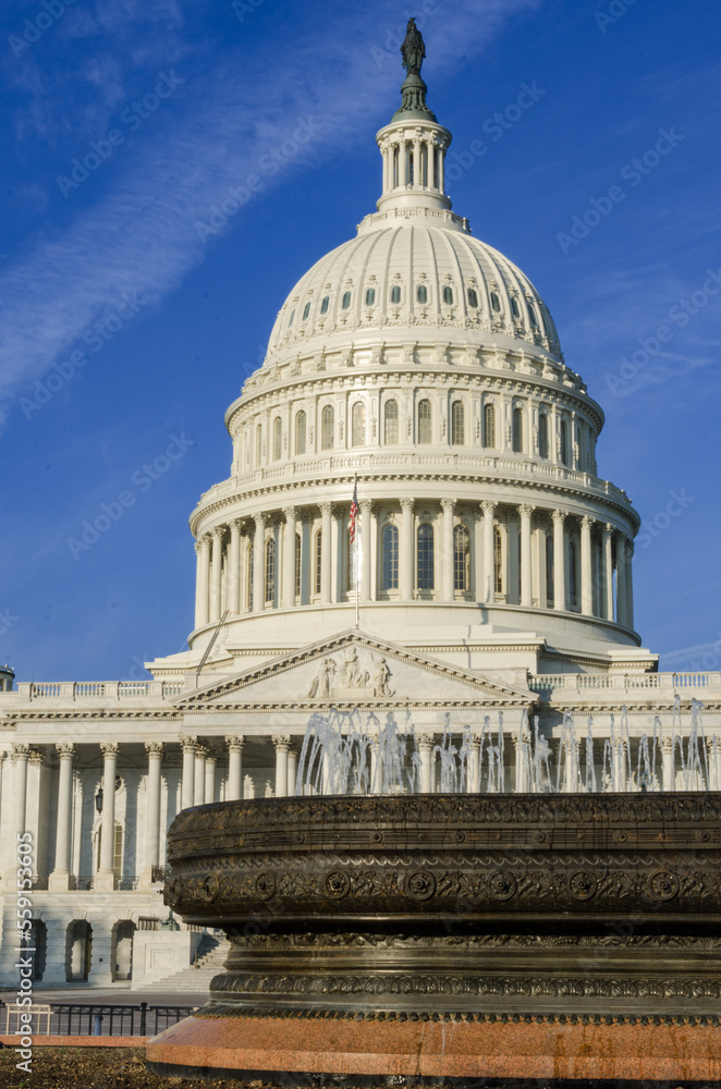US Capitol building - Washington DC, United States