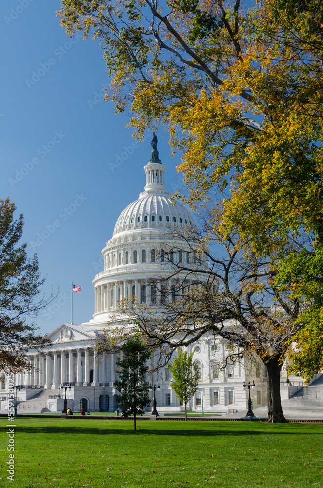 US Capitol building during autumn - Washington DC, United States