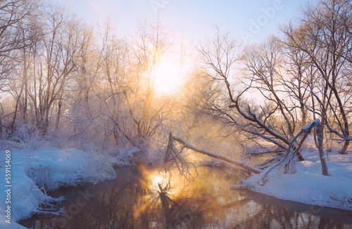 Winter sunny foggy landscape with trees and river