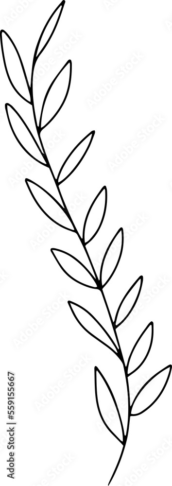 Naklejka premium Hand drawn line art floral decorative elements, leaves, flowers, herbs and branches botanical doodles