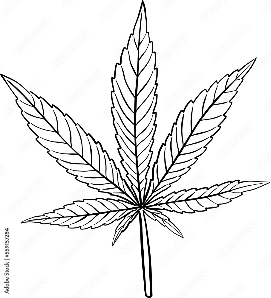 simplicity cannabis leaf freehand drawing. simplicity cannabis leaf freehand drawing.