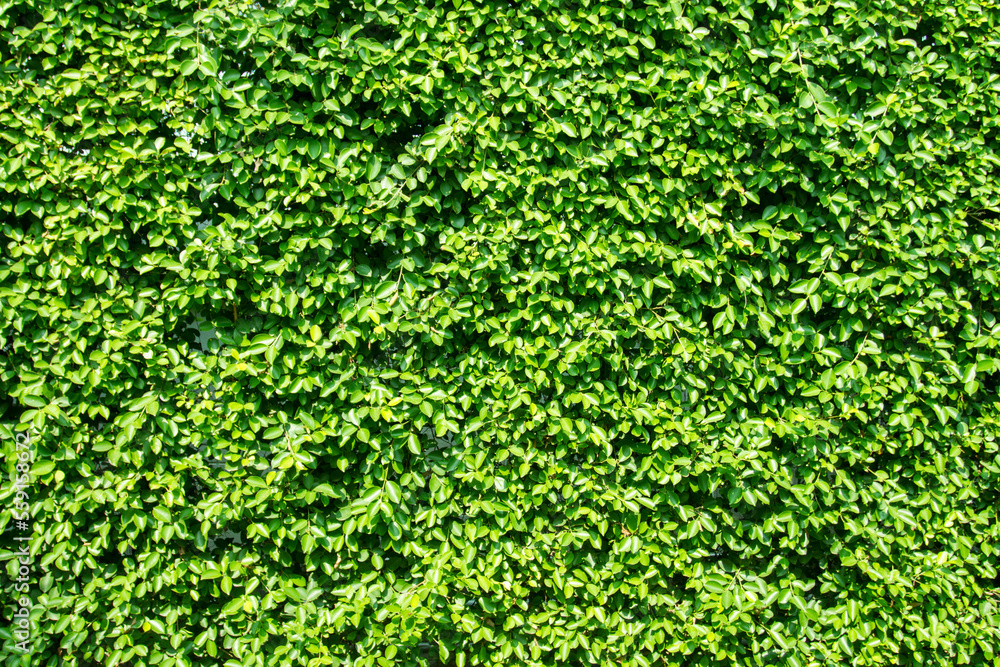 abstract background abstract background