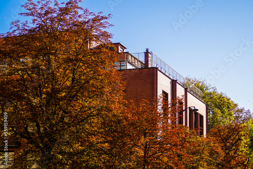 Building and trees are adorned with red