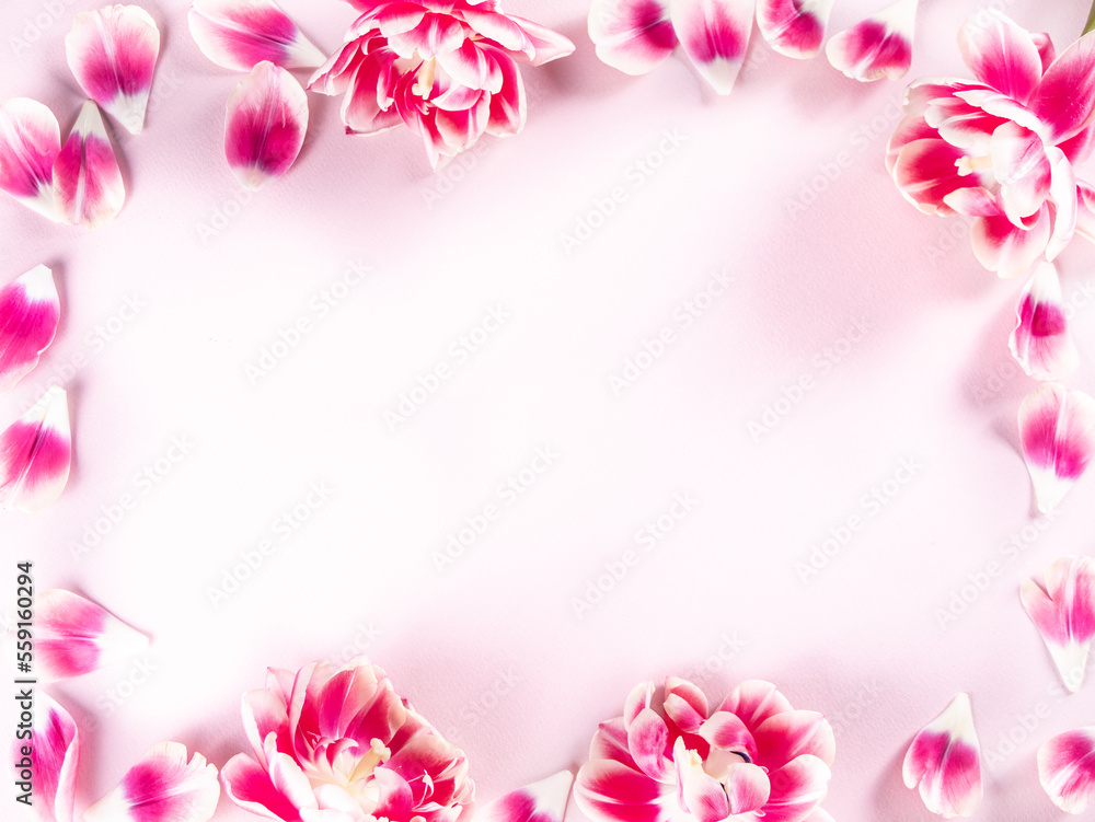 Pink peony flowers frame on pink background. Top view. Copy space.