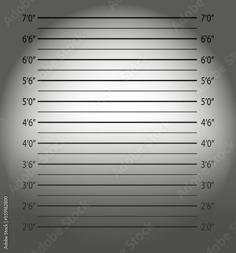 Police mugshot.Police lineup or mugshot background.