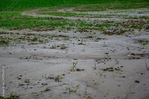 Sehr nasser Ackerboden nach Starkregen