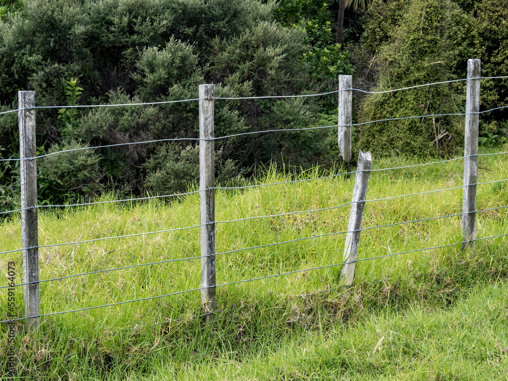 Old wire boundary farm fence with wooden posts Old wire boundary farm fence with wooden posts