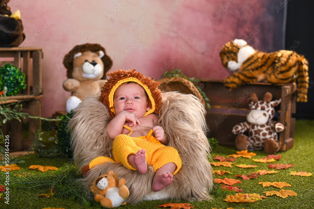 Cute baby newborn dressed as a lion Cute baby newborn dressed as a lion