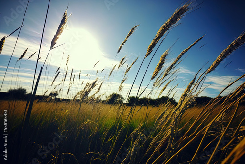 tall grass and a stunning sky. Generative AI