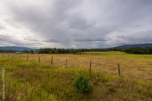 landscape along the road that go from Prince Rupert to Prince George  British Columbia  Canada