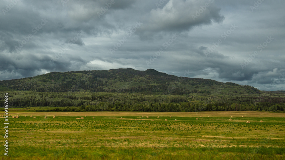 countryside landscape along the road from Prince Rupert to Prince George, British Columbia, Canada 
