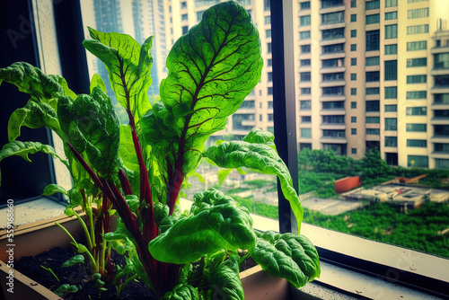 With chard, kangkung, and other simple to grow veggies, an urban balcony garden. Generative AI