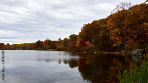 autumn trees reflected in water