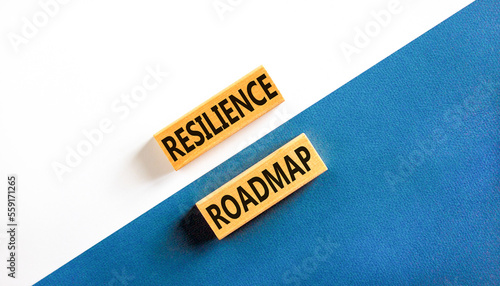 Resilience roadmap symbol. Concept word Resilience roadmap typed on wooden blocks. Beautiful white and blue paper background. Business and resilience roadmap concept. Copy space.