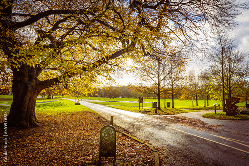 Fototapeta Naklejka Na Ścianę i Meble -  Autumn in the park, Blackburn, England, UK