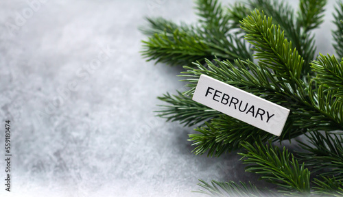Hello february and winter background with spruce branches photo