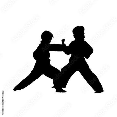 silhouette of a martial arts move with a transparent background