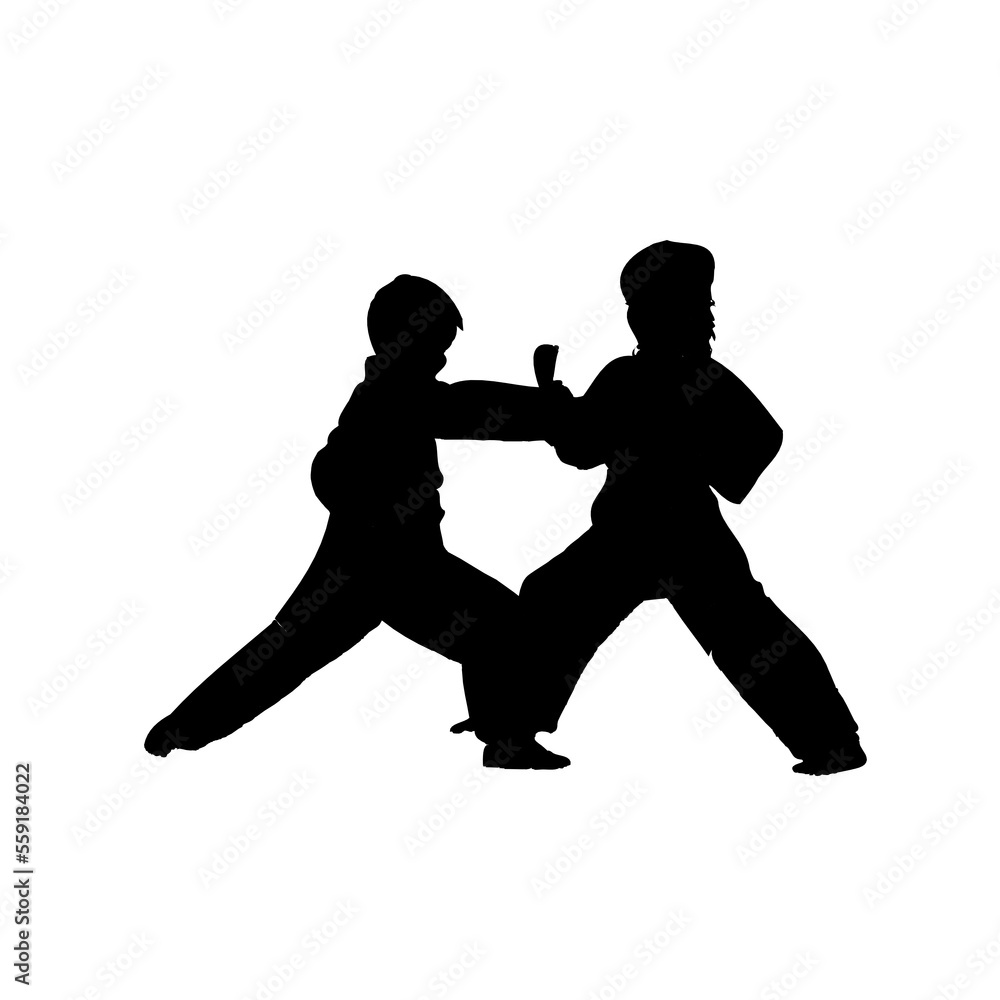 silhouette of a martial arts move with a transparent background