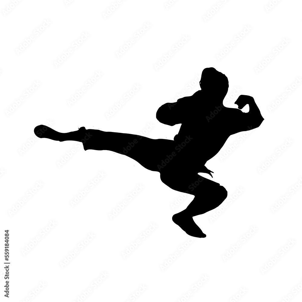 silhouette of a martial arts move with a transparent background