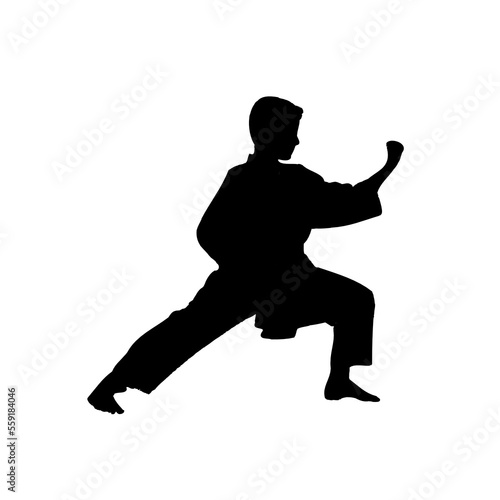 Bild auf Leinwand silhouette of a martial arts move with a transparent background