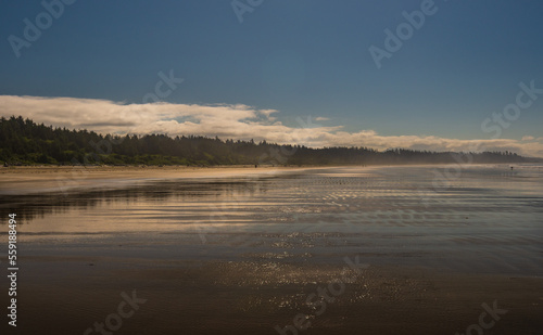 Fototapeta Naklejka Na Ścianę i Meble -  sand beach over the Pacific Ocean along the Vancouver Island coastline, British Columbia, Canada