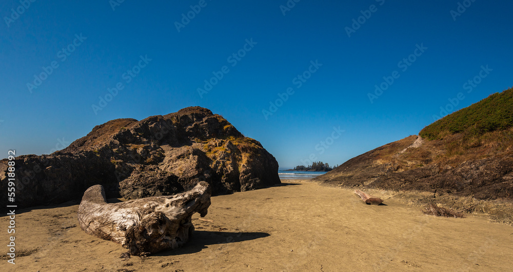 sand beach over the Pacific Ocean along the Vancouver Island coastline, British Columbia, Canada sand beach over the Pacific Ocean along the Vancouver Island coastline, British Columbia, Canada