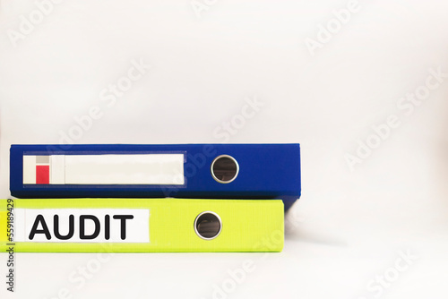 audit topic. Folder with the word AUDIT, on a white background